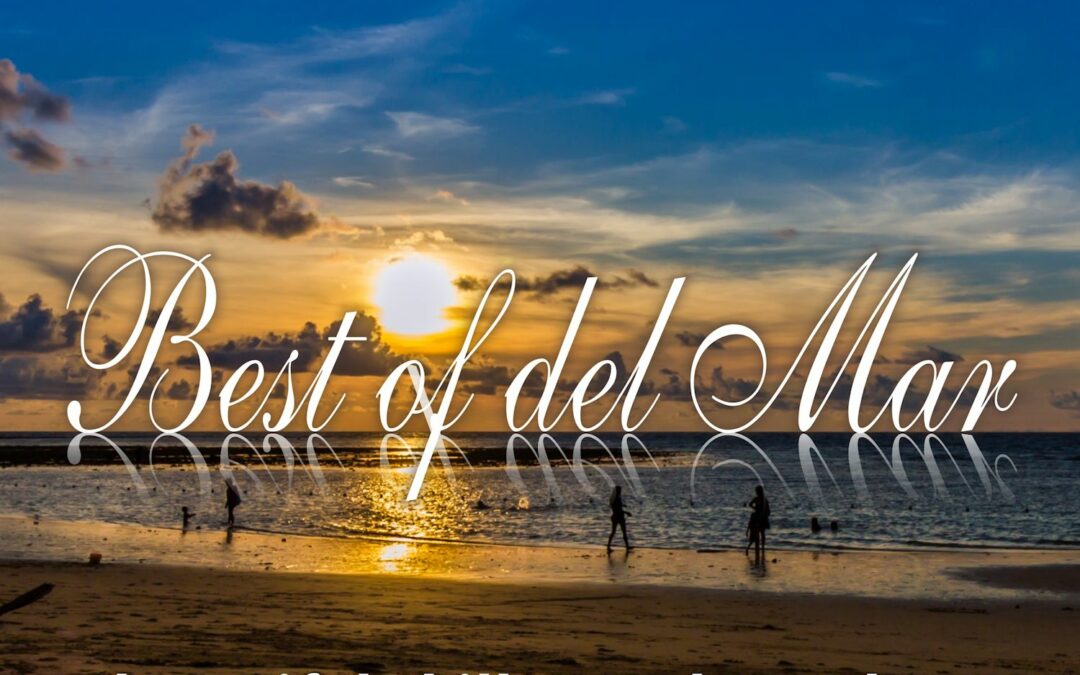 Jetzt erschienen! Best Of Del Mar Vol.8